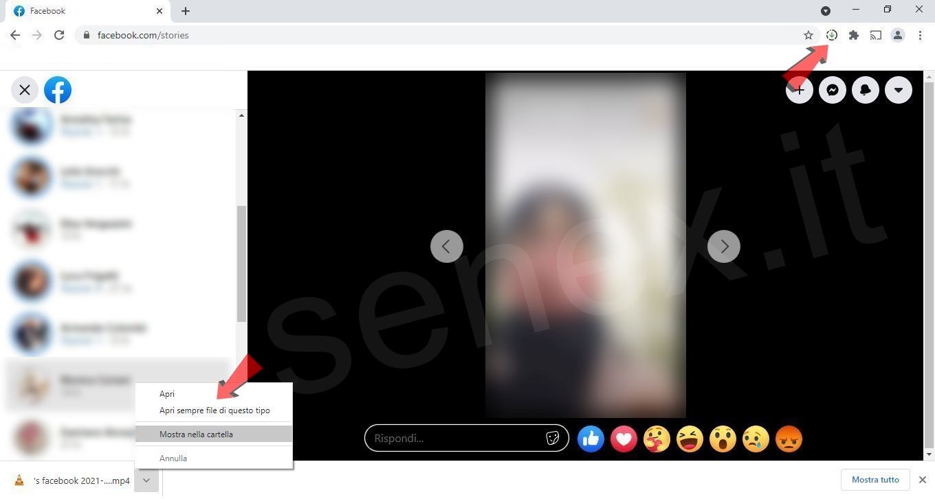 scaricare stories da facebook